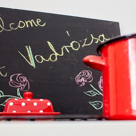 Гостевой дом Vadrozsa Vendeghaz Racalmas Экстерьер фото